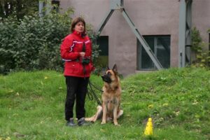 Read more about the article Co zrobić, żeby pies Cię nie pogryzł?