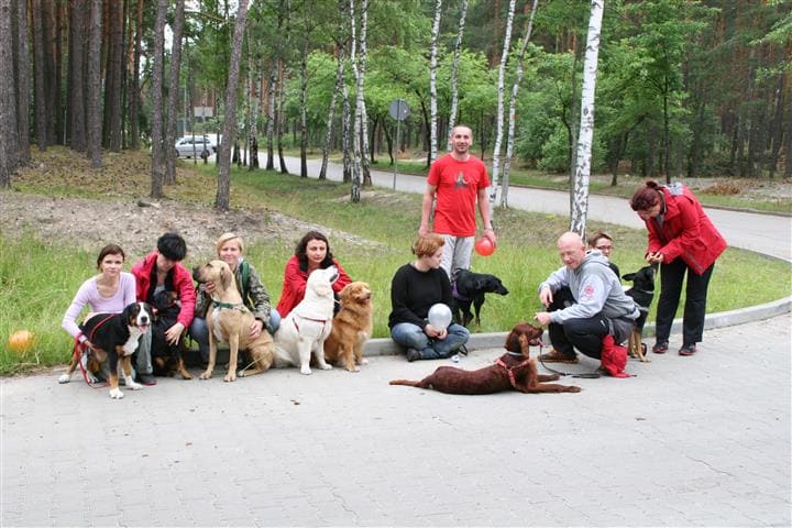 Weekend Pracy z Psem - Qumam - Szkolenia Psów Kraków