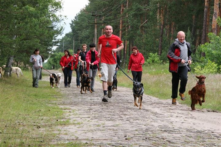 Weekend Pracy z Psem - Qumam - Szkolenia Psów Kraków