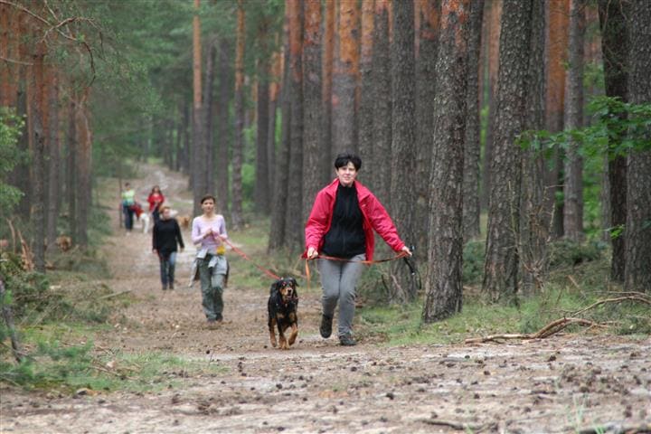 Weekend Pracy z Psem - Qumam - Szkolenia Psów Kraków