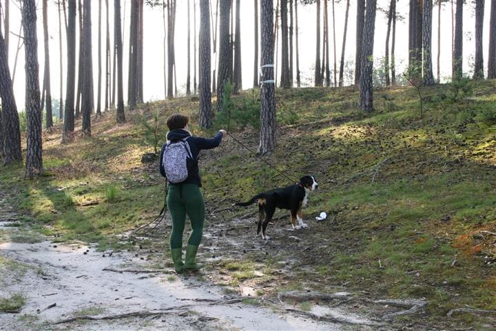 Weekend Pracy z Psem - Qumam - Szkolenia Psów Kraków