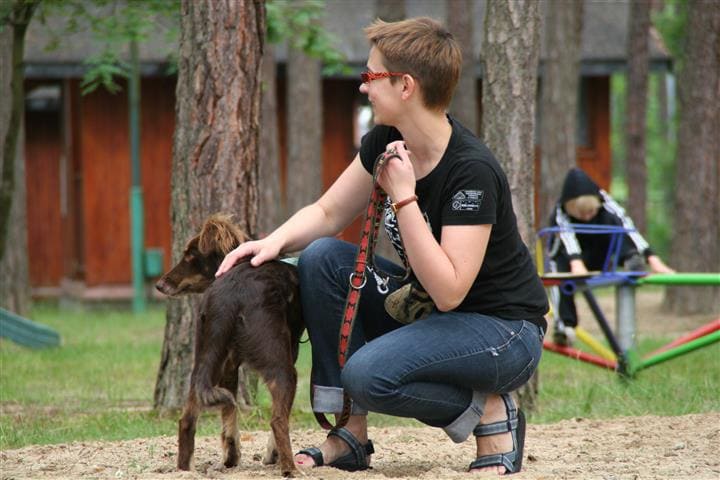 Weekend Pracy z Psem - Qumam - Szkolenia Psów Kraków