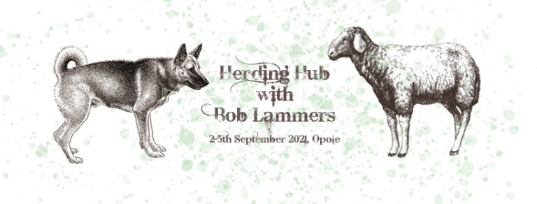 Read more about the article Warsztaty Pasienia – Herding Hub 2-5.09.2021